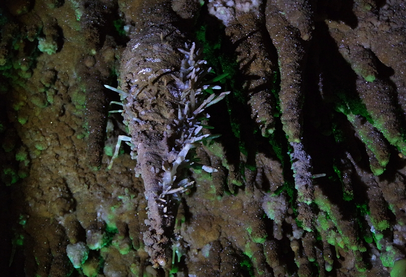 北京石花洞温度,北京石花洞景区