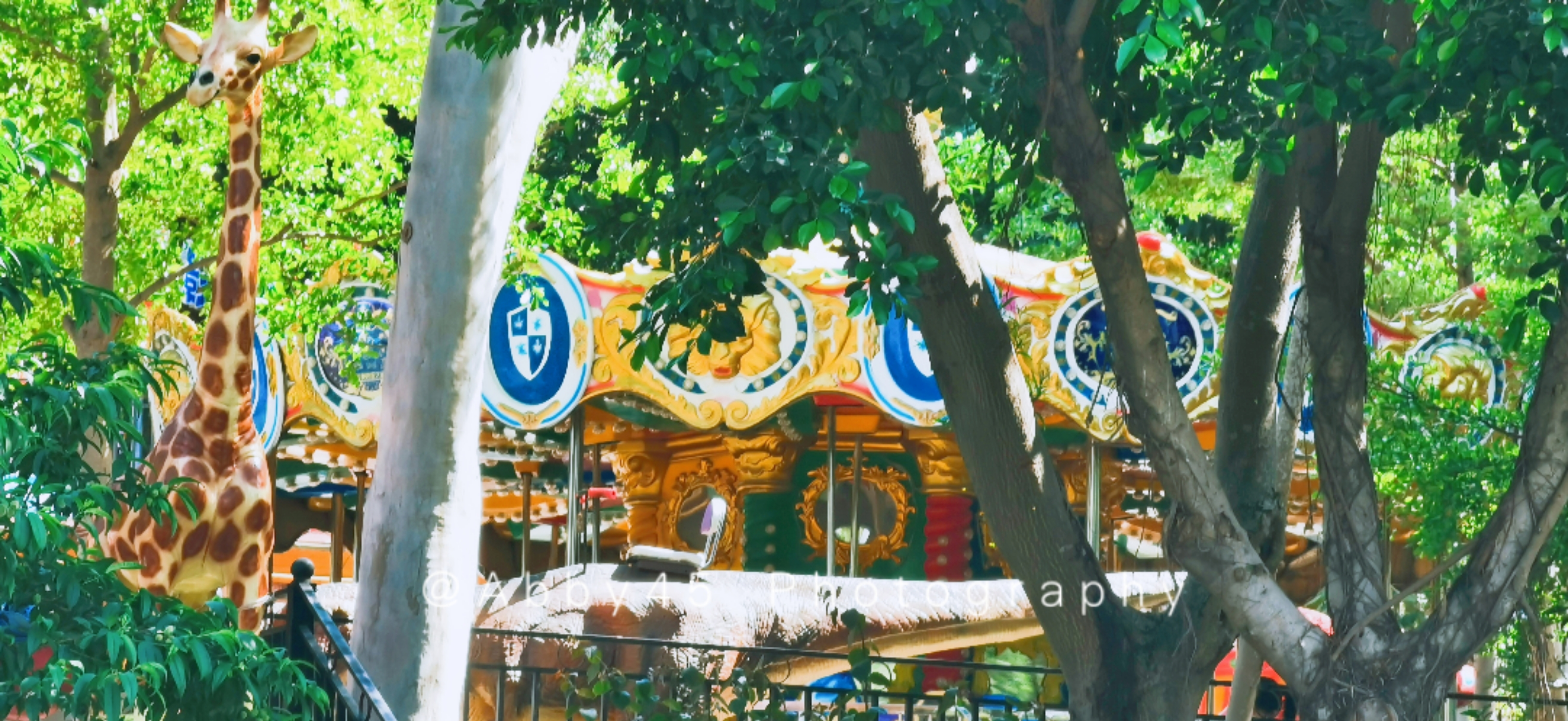 在厦门最适合小朋友玩的地方,厦门适合小朋友玩的地方推荐