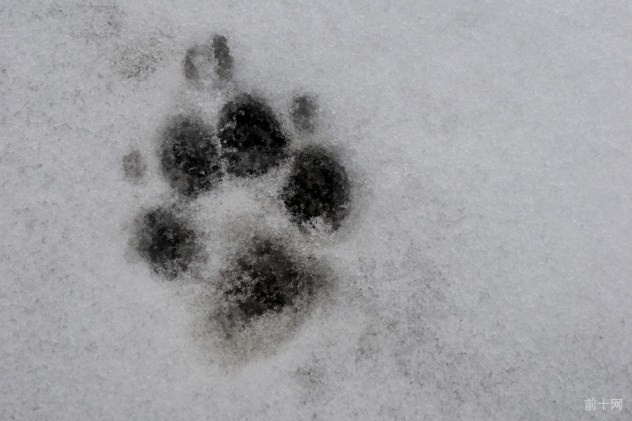 英格兰诡异传说,英格兰故事