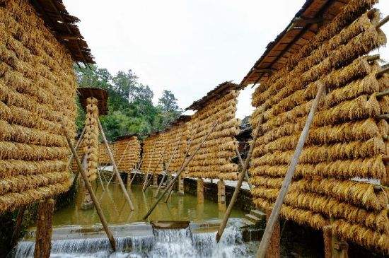 农业害虫防治法,中国古代农业怎么防止虫害