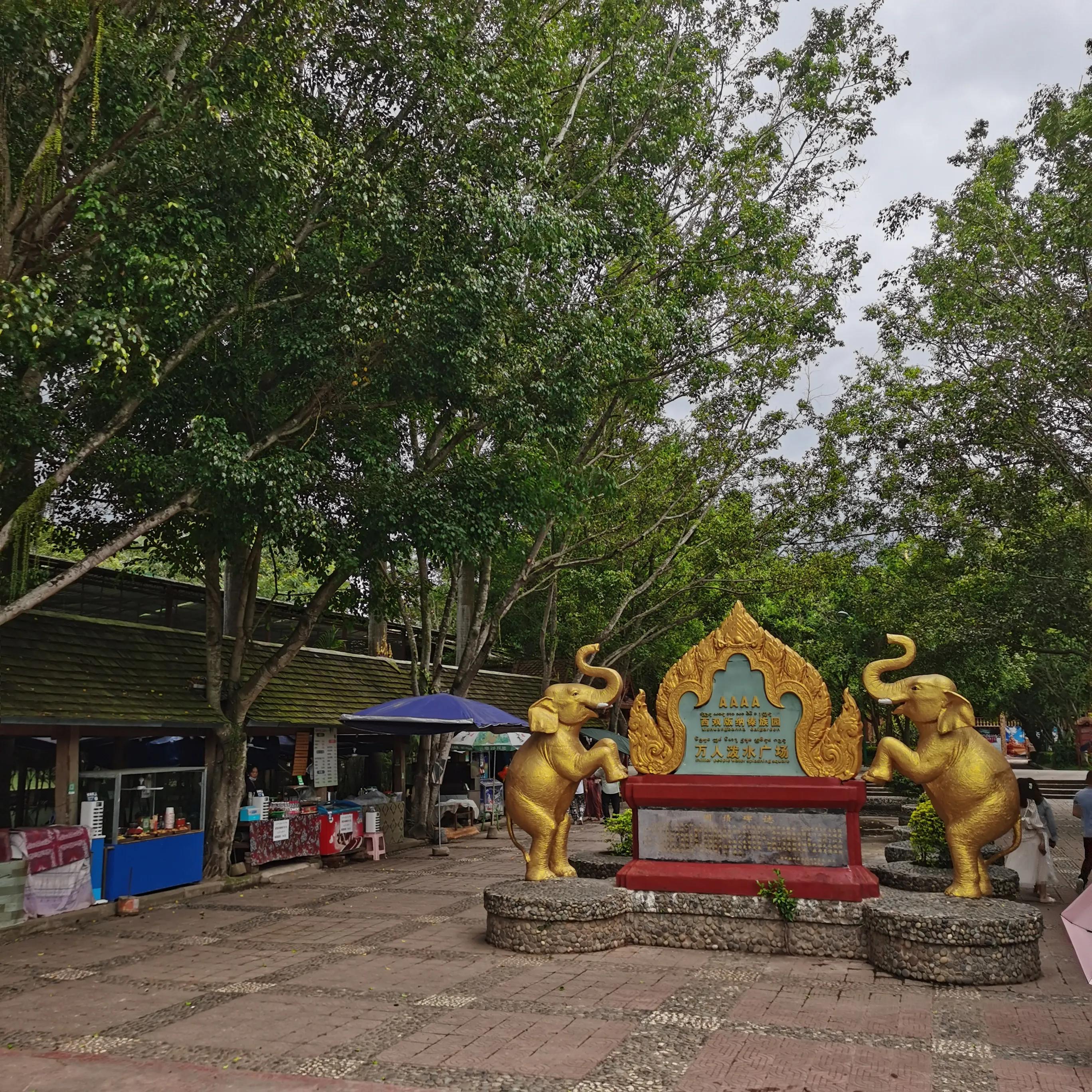 西双版纳曼远村游,西双版纳自由行一天攻略傣族园