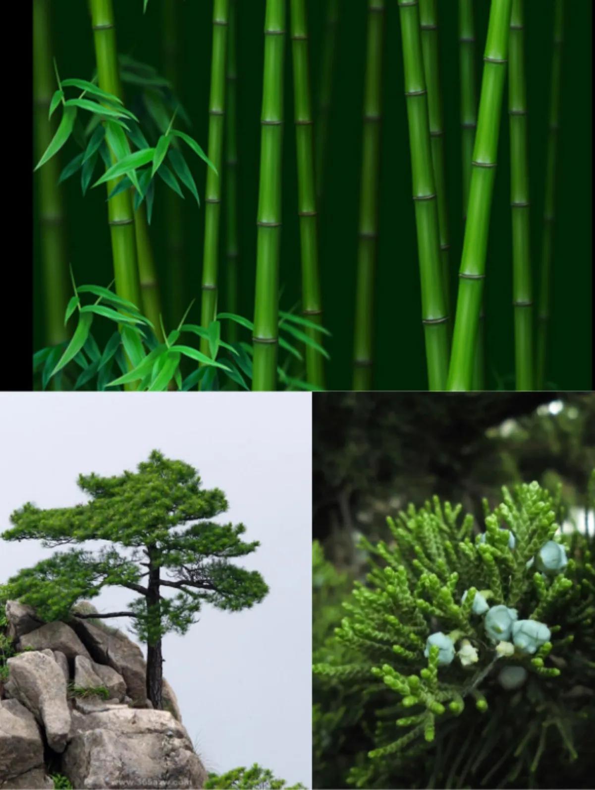 古人有哪些cp,中国传统文化cp