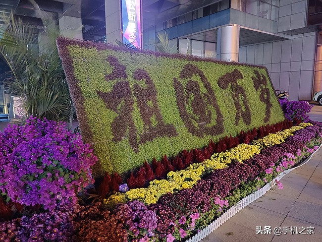 vivoy73s测评,vivoy73s重要参数详细