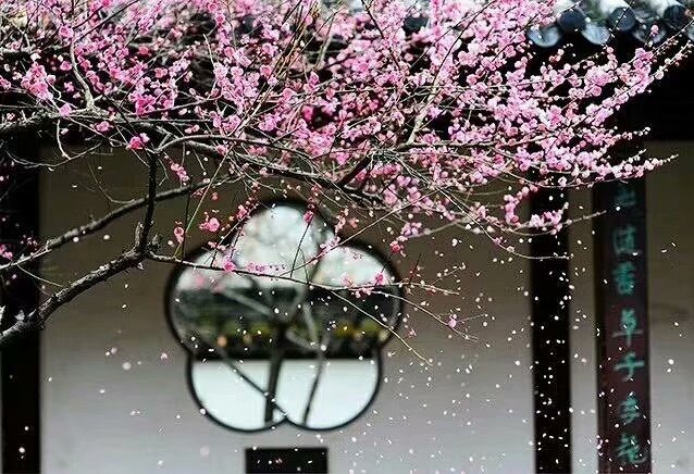 《幽梦影》：古书中的清凉散，教你领略生活的小确幸