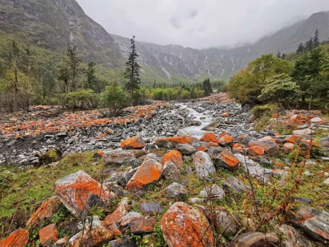 国庆节玩横店梦幻谷,国庆推荐小众自然旅游风光
