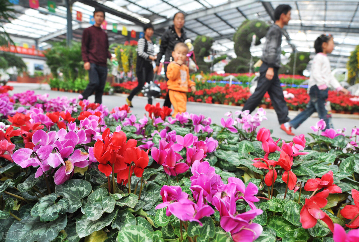 灞变笢闈掑窞鍙ゅ煄鍗拌薄,闈掑窞鍗拌薄宸磋渶