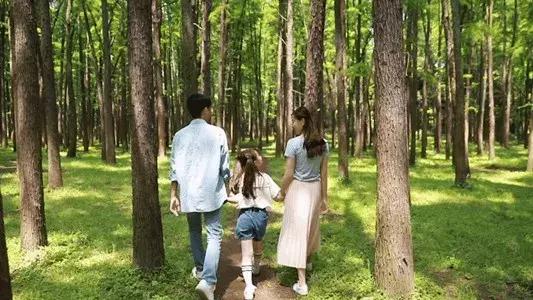 出去旅游饮食不规律便秘怎么办,出门旅行便秘吃什么药