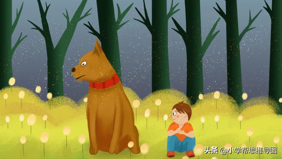 五年级下册语文写读后感秘密花园,秘密花园的阅读感悟100字