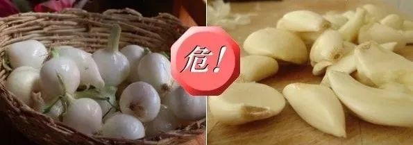 对猫有毒的植物气味也不能闻吗,对猫有毒的食物