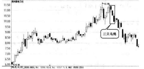 下跌趋势中出现三只乌鸦,三只乌鸦挂枝头