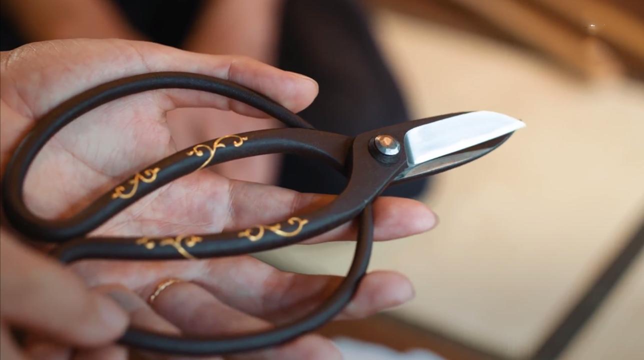 世界上最贵的剪刀，这把剪刀价值一辆豪车，真是让人大开眼界