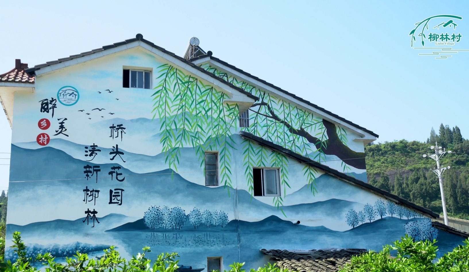 我是支部书记|“灰姑娘”支书的美丽梦想