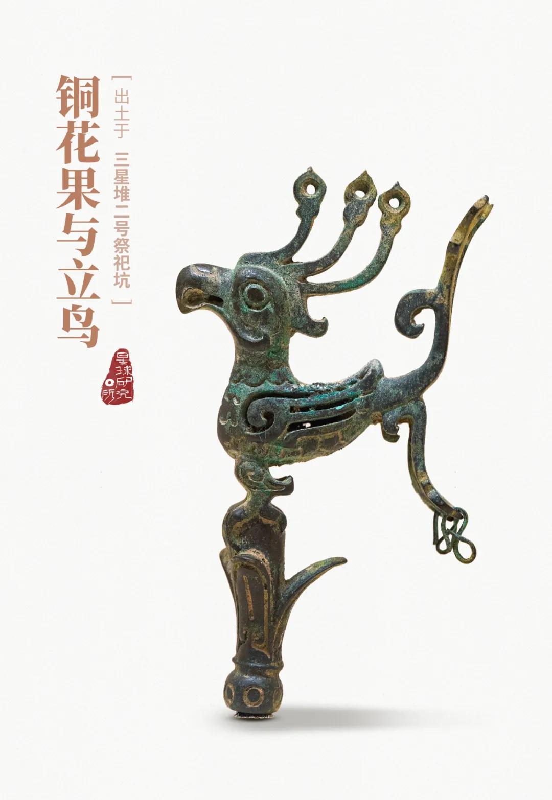 林草领域知识图谱,林草科普专业术语