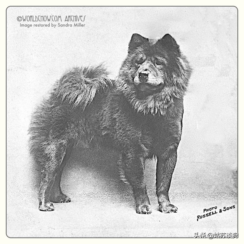 涓浗鐔婄姮,涓浗鐔婄姮鏈夊鍘夊