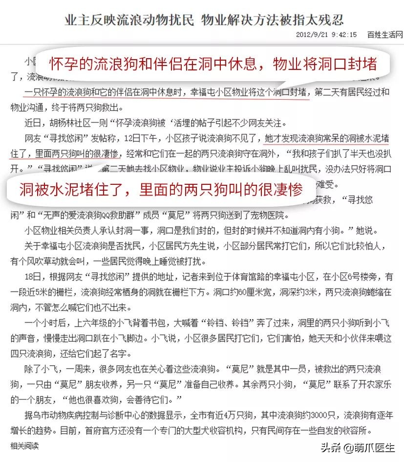 物业给小区流浪猫绝育视频,业主凑20万给流浪猫绝育