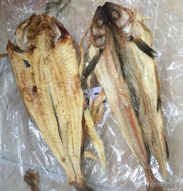 东北人吃的海鲫鱼,东北人喜欢吃的海鲜菜