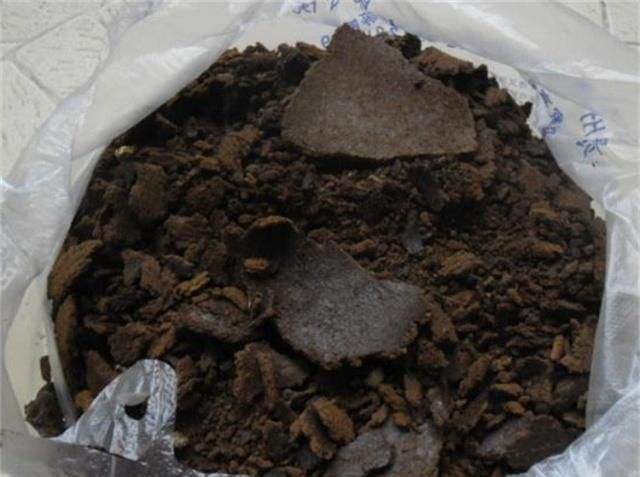 绿萝怎么浇水施肥更旺,怎么给绿萝浇水长得快