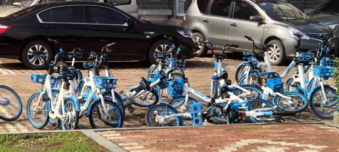 黑龙江最新疫情!小蓝车公布客服电话!大连增24例无症状