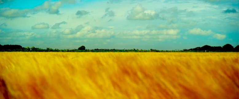 卷福新剧哪里可以看,卷福新剧