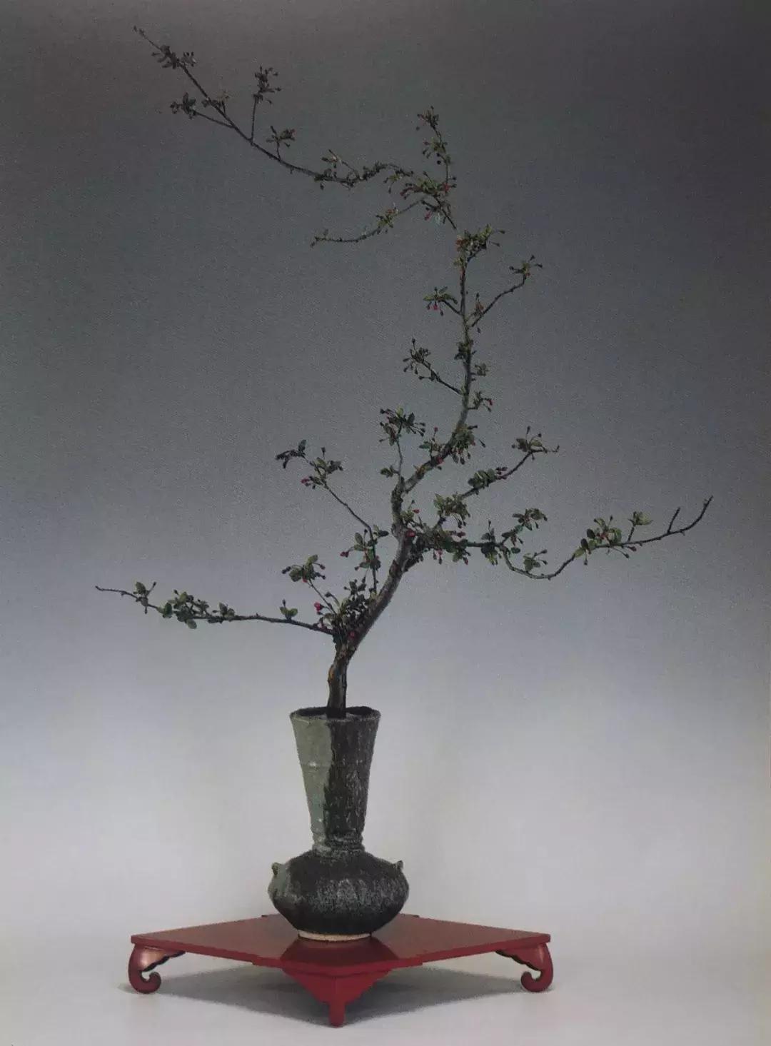 花道与插花技艺,花道活动布置