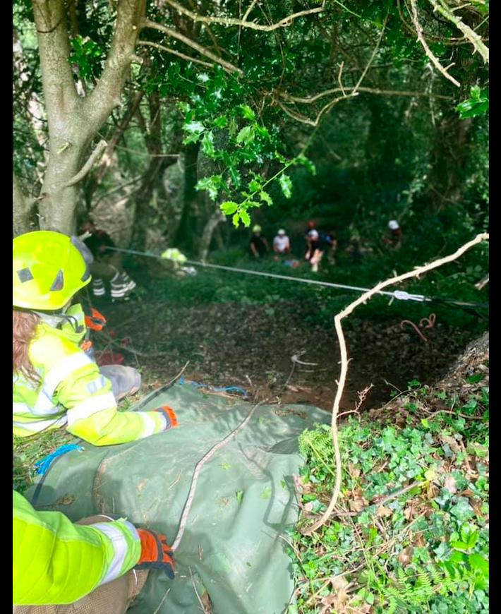 80岁的老奶奶失踪，邻居发现了她养的黑猫，在它的指引下成功营救