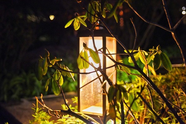 这个冬天特别冷没办法旅游,冬天这么冷的天还能出去玩吗