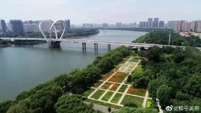 沈阳和平文化,沈阳和平区文旅