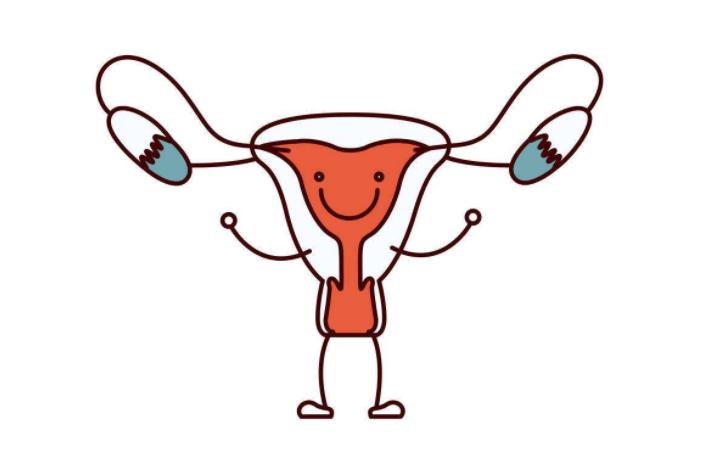 阴道里脱出块“肉”？医生：是病，有得治