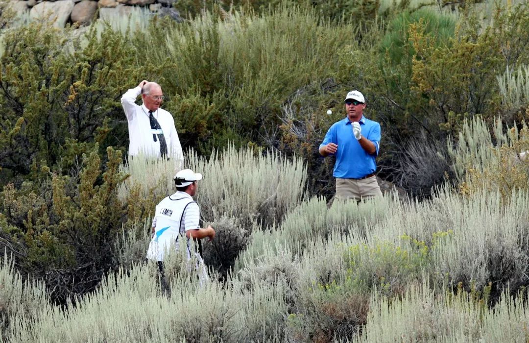 揭秘高尔夫内部,高尔夫最新政策