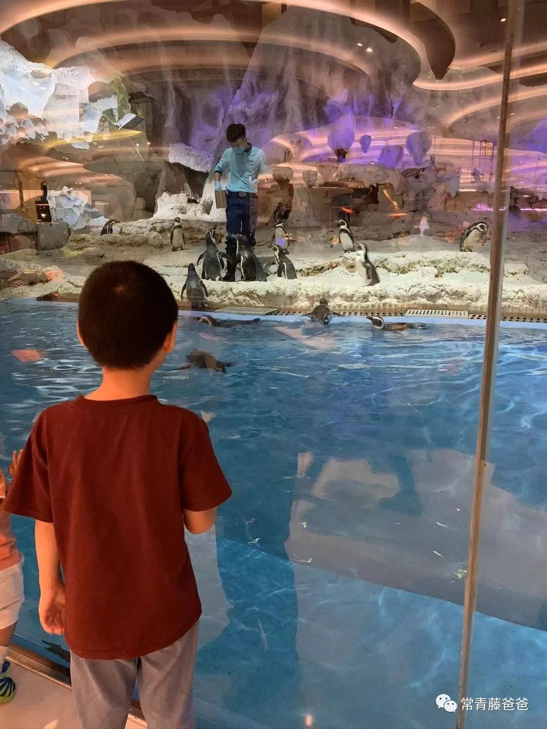 广州和珠海长隆一起玩攻略,广州珠海长隆旅游攻略5天四晚