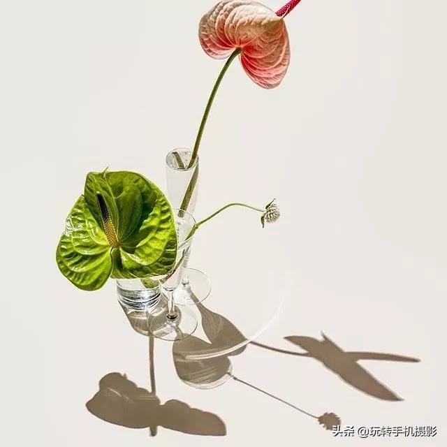 宅宅的风格拍照,绝美宅家拍照教程秒get氛围感照片