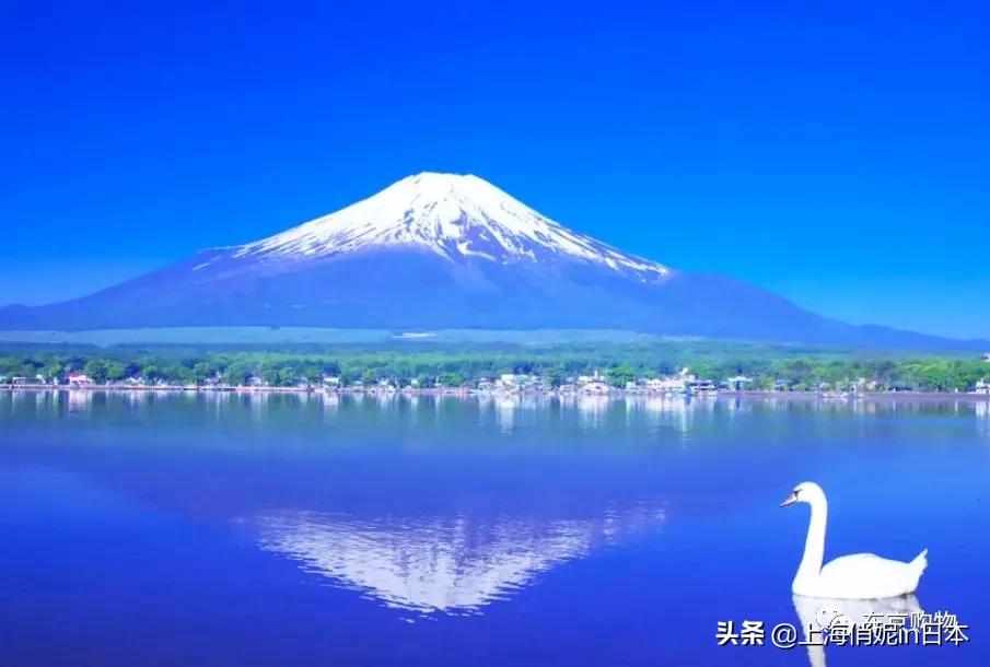 申请永居材料,申请永住权证条件