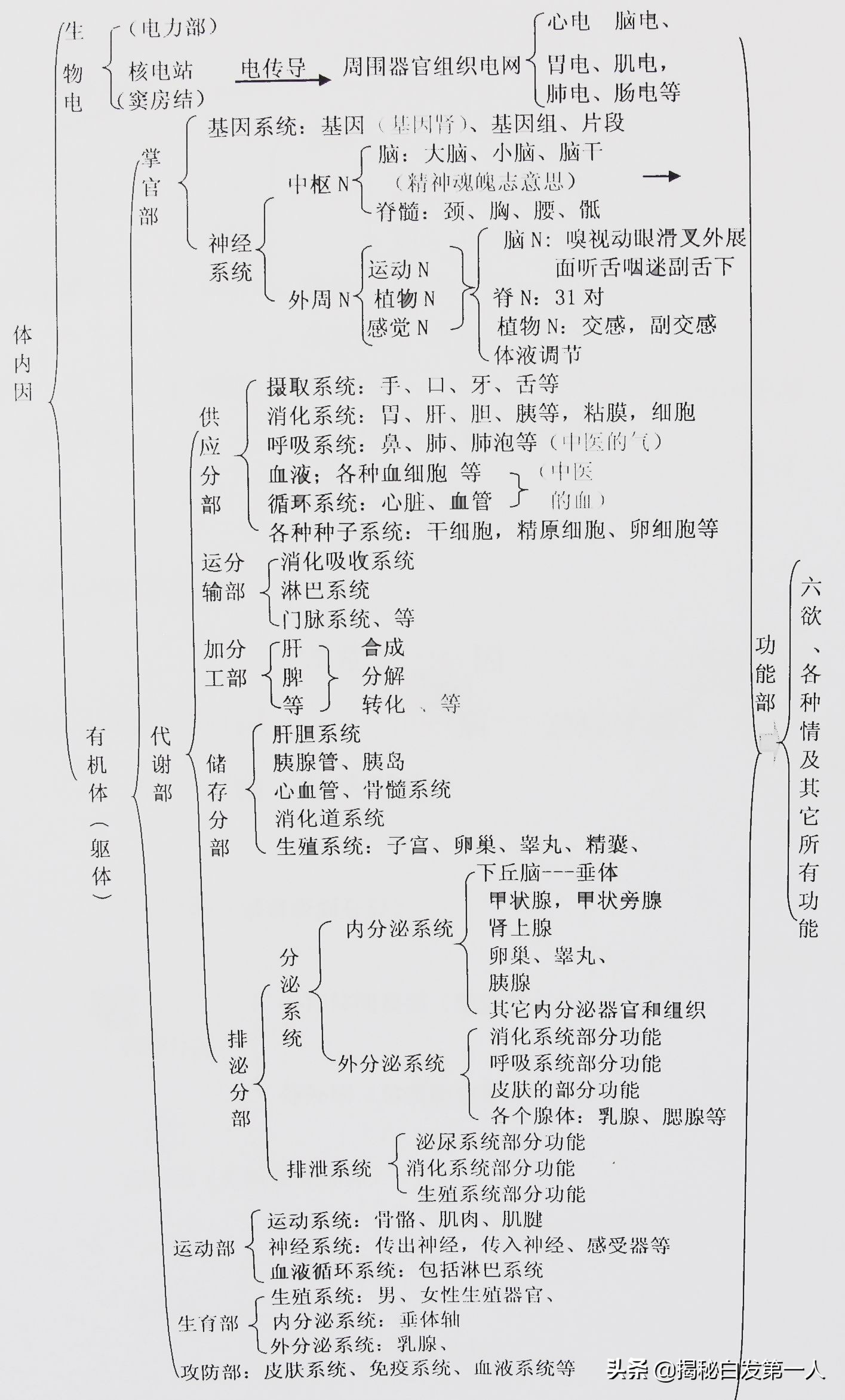 什么原因引起口臭口苦,引起口臭最常见的原因是