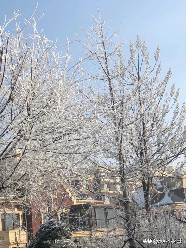 全国各地举报电话大全,你一定要记住的八个举报电话