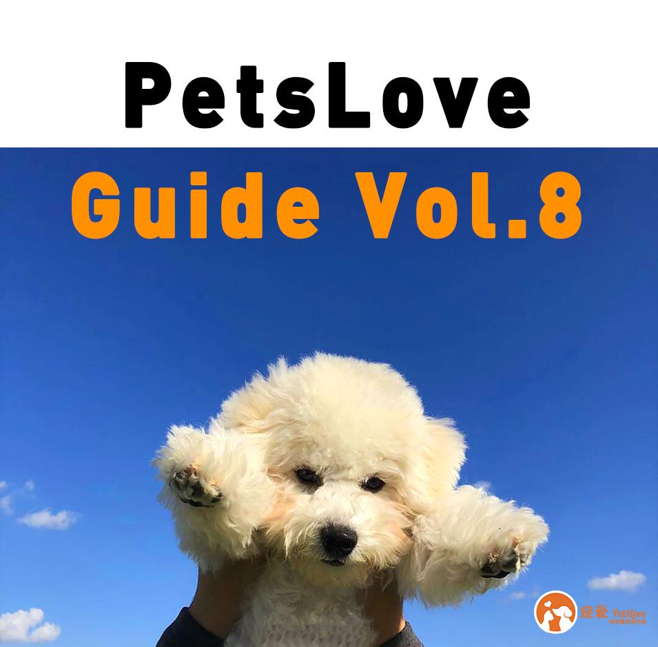 人工如何饲养博美幼犬,如何人工喂养刚出生的小狗