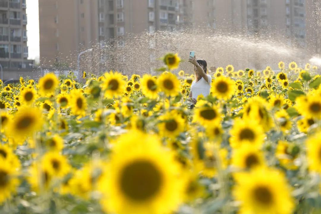 五一假期超4200万人次游四川,北碚国庆旅游收入