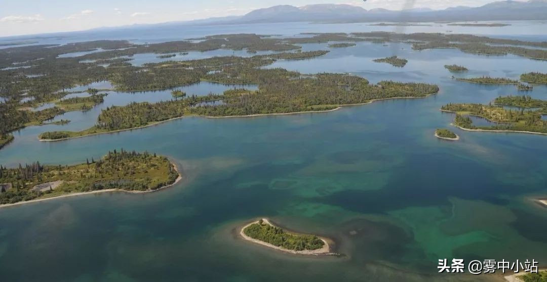 最便宜阿拉斯加多少钱,最便宜又大的阿拉斯加