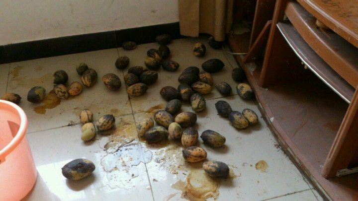 海关属于什么企业,中国海关是公务员还是事业编制