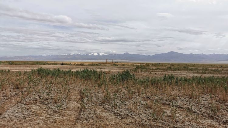 龙眼凤羽的艾肯泉，该称恶魔之眼，还是天使之眼，你来决定吧