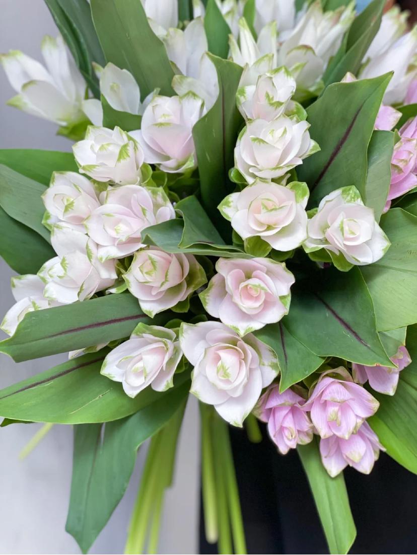 家里要有氛围感什么花比较好,家里高级的花