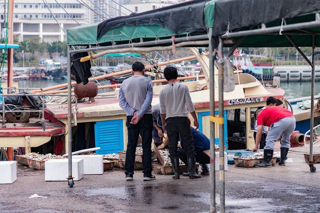 蛇口，传统与现代的并存