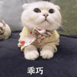 最新会计书全套,会计科目表背诵诀窍及借贷方法