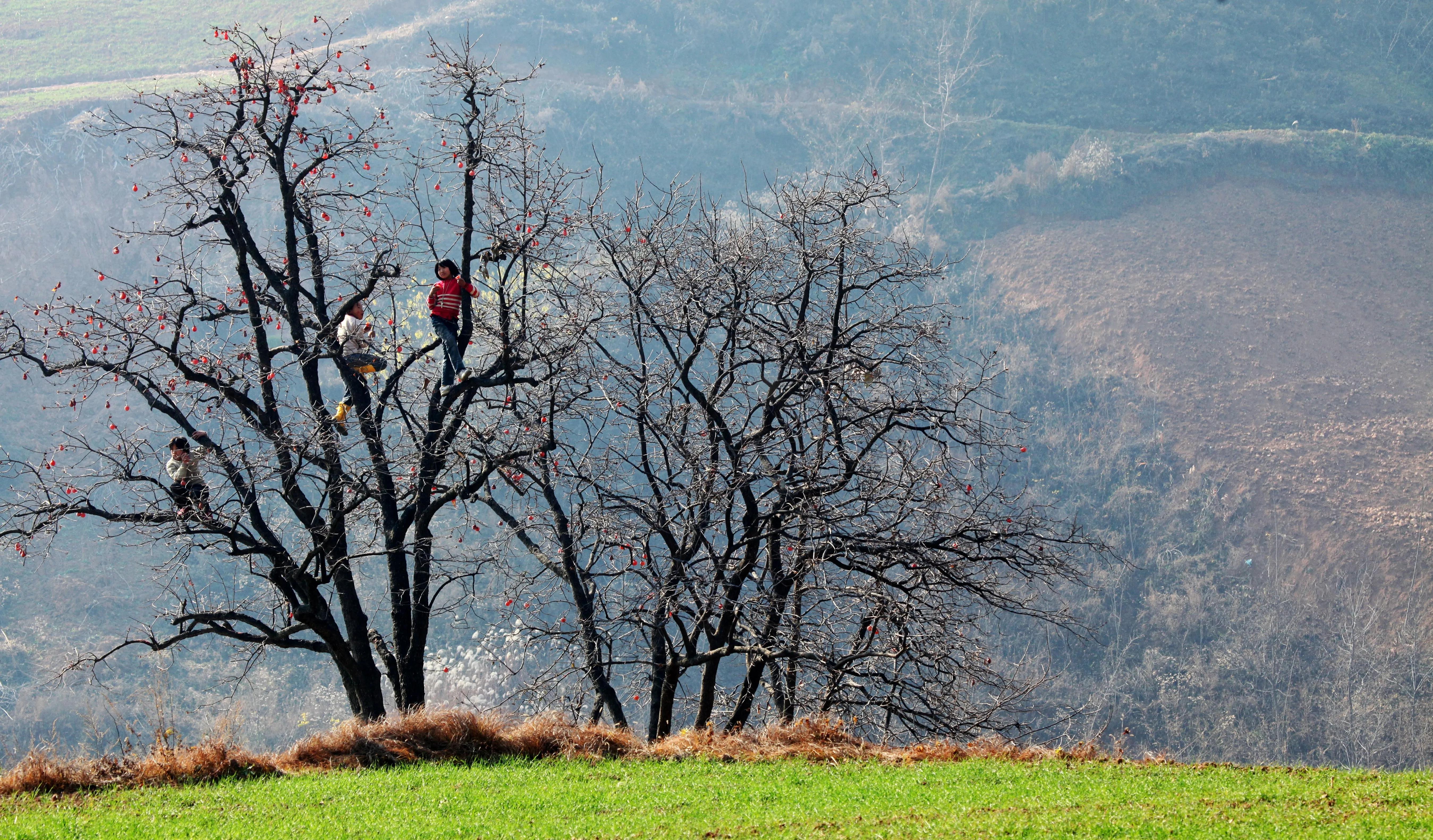 渭南市临渭区：长寿原上一滴醋（组图）