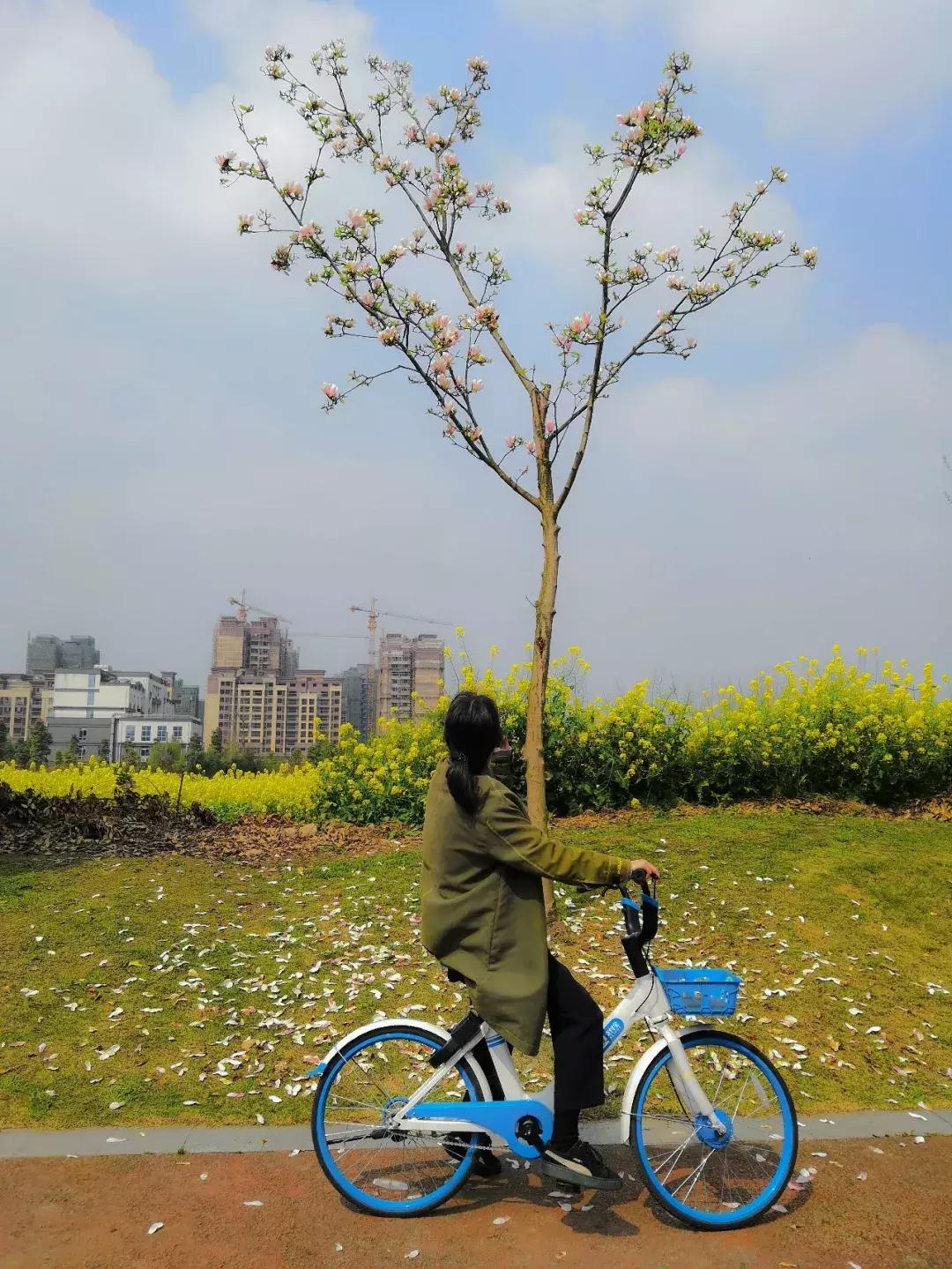 都江堰天府绿道骑行路线图,都江堰周边最美骑行路线