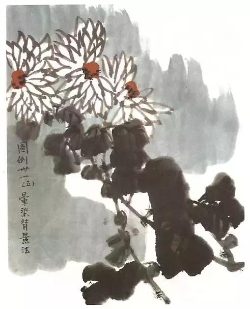 菊花国画入门简单教程,国画菊花画法技法教程