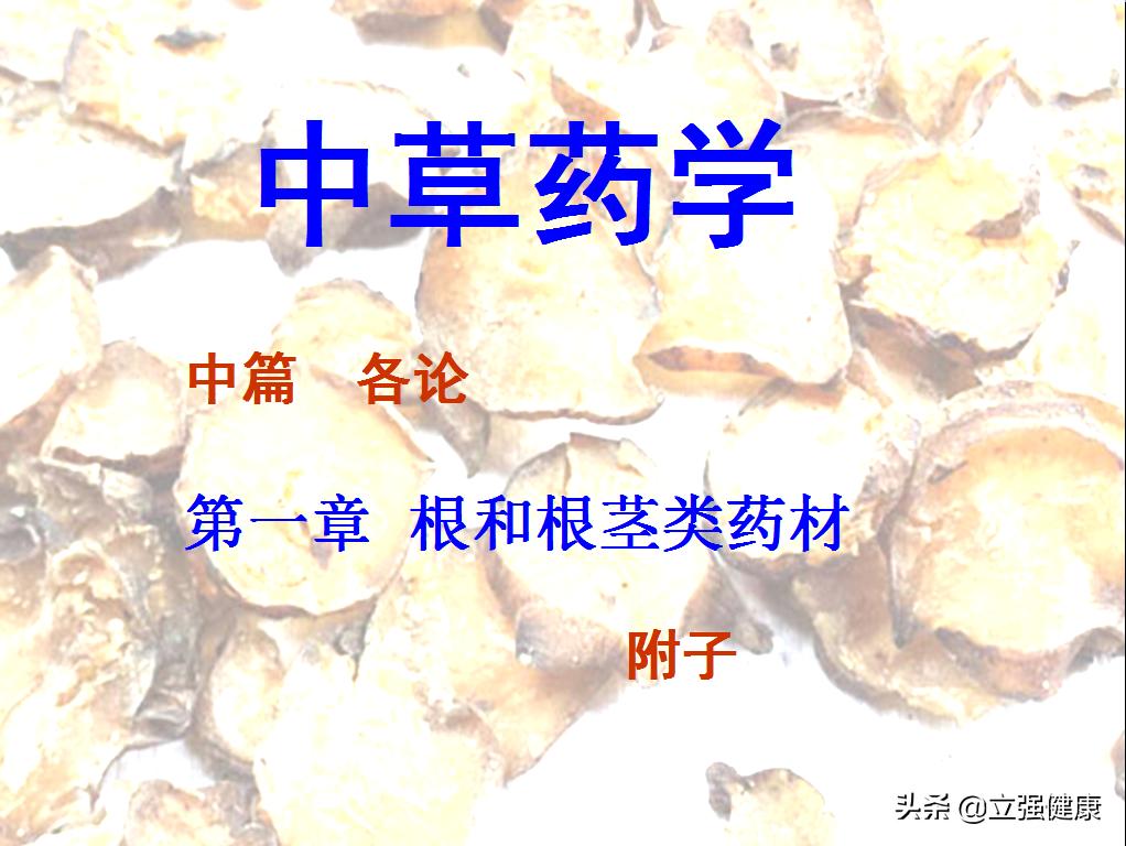 如何鉴别附子？看看药师怎样为您论述