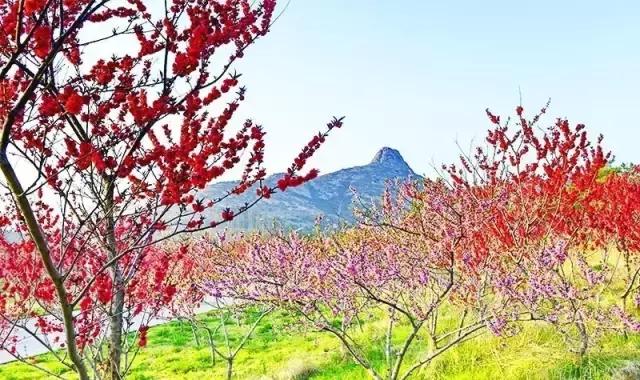 乳山到荣成自驾游攻略,乳山旅游攻略亲子游住宿