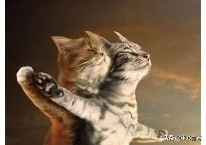 青春有约津彩团相亲活动,青春有约精彩团缘报名