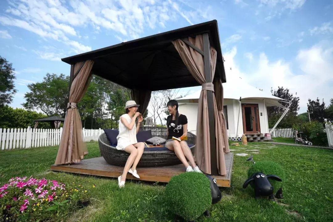 北京菊花花海,北京赏花好去处国际花港