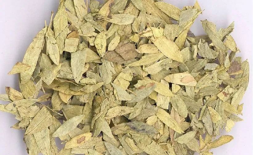 经常便秘别老靠泻药,治便秘不要乱用泻药